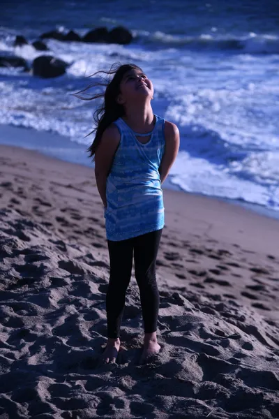 DSC_0658 (Large).JPG